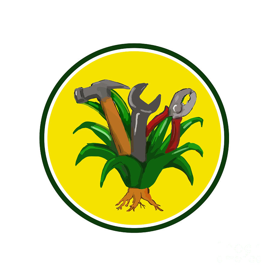 900x900 agave with hammer spanner pliers water color digital art