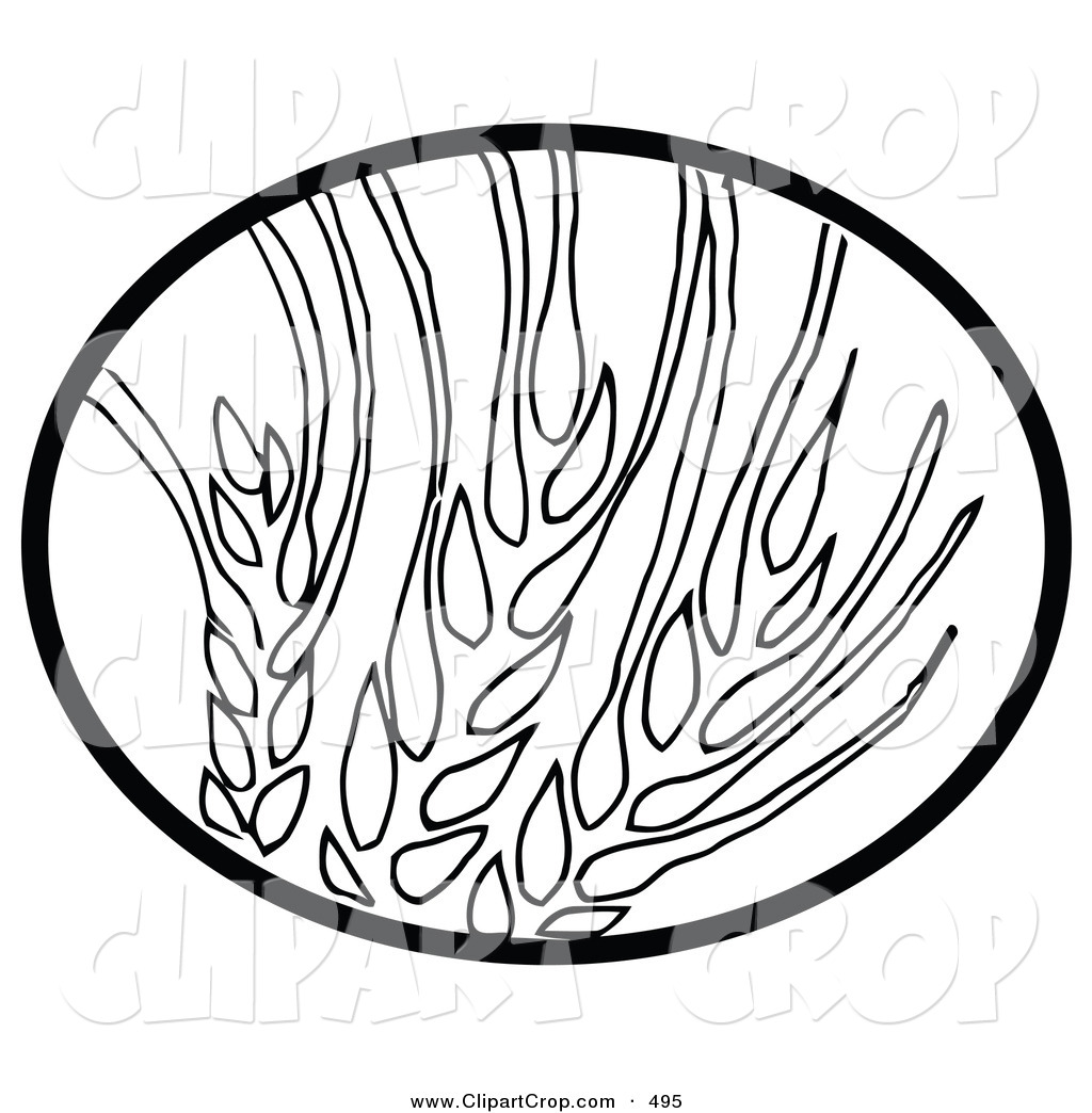 1024x1044 Old Barn Drawing Clipart