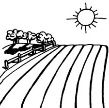 225x223 Agriculture Drawing Images Easy
