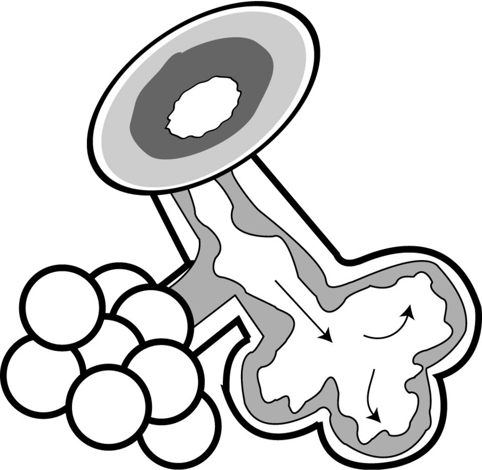 960x935 How Pollution Affects The Airways