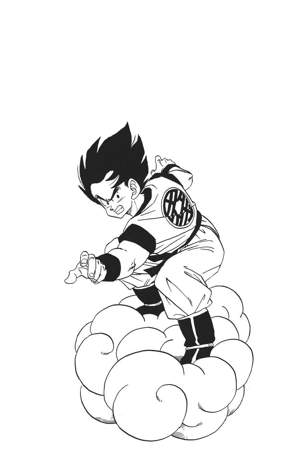 1024x1536 Akira Toriyama Dragon Ball, Dragon