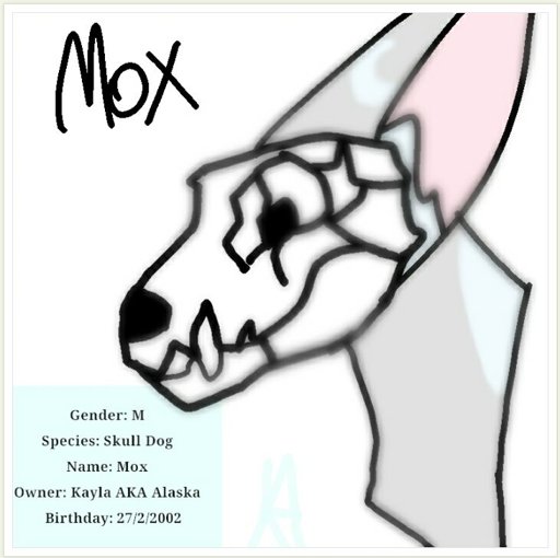 512x510 Alaska Furry Amino