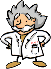 210x284 Albert Einstein Grandes Kids Csic