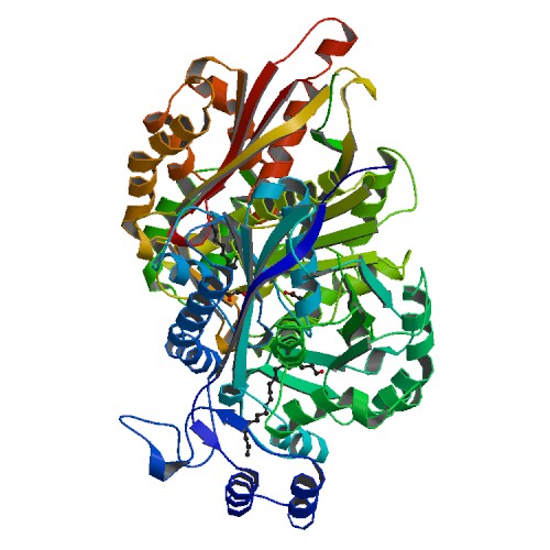 500x500 Rcsb Pdb