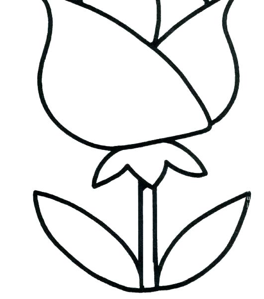 531x600 Easy Drawings For Year Olds Year Easy Things To Draw