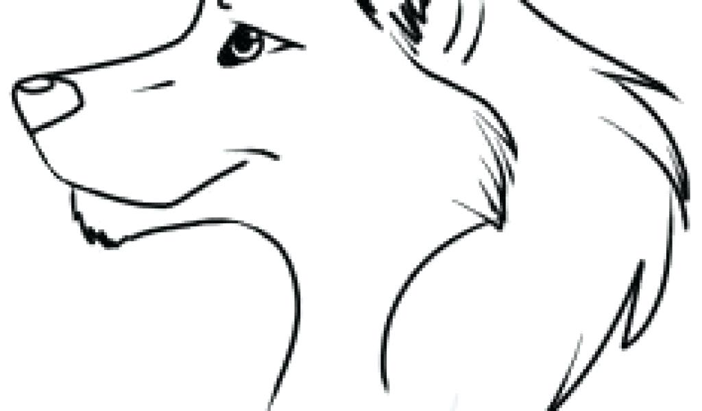 1024x600 Easy Drawings Of Wolves Simple Wolf Head Drawing Gallery Easy