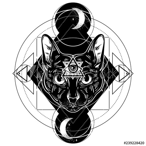 500x500 Vector Hand Drawn Ilustration Of Cat All Seeing Eye Pyramid
