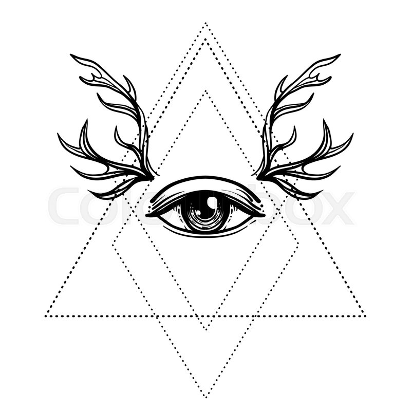 800x800 All Seeing Eye Symbol Over Rose Flower Stock Vector Colourbox