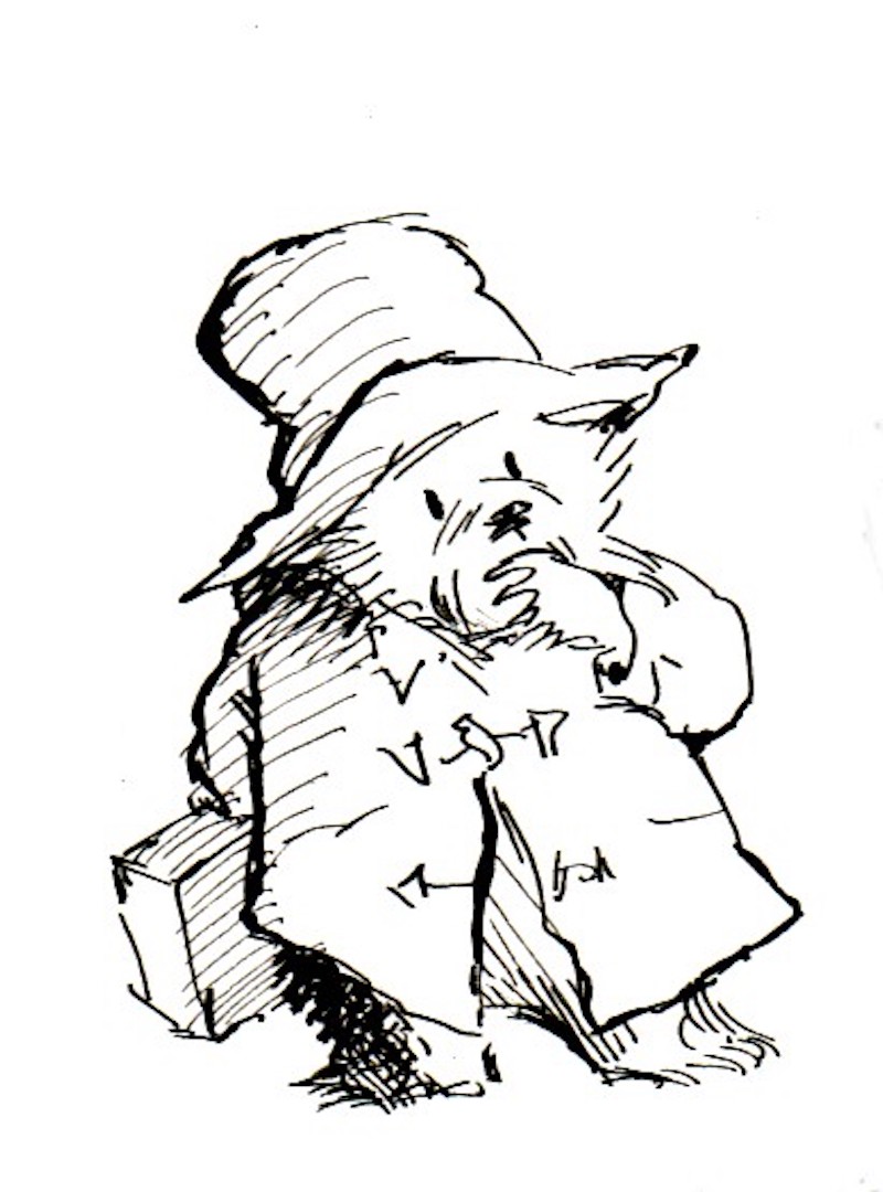 800x1080 Michael Bond's Paddington Bear Books Illustrations