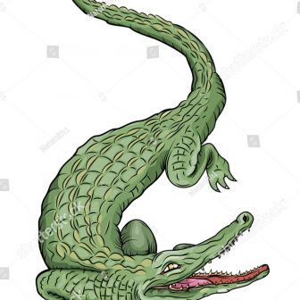 Alligator Cartoon Drawing