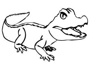 300x210 Drawing Of Alligator Crocodile Cartoon Drawing At Getdrawings