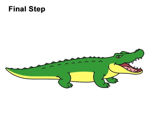 500x386 How To Draw Angry Cartoon Crocodile Alligator Smile Draw Animals