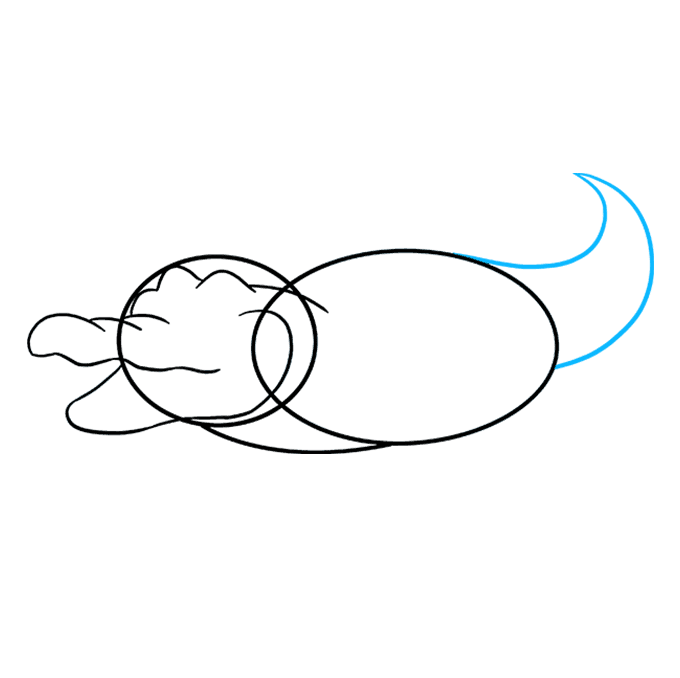 680x678 How To Draw An Alligator