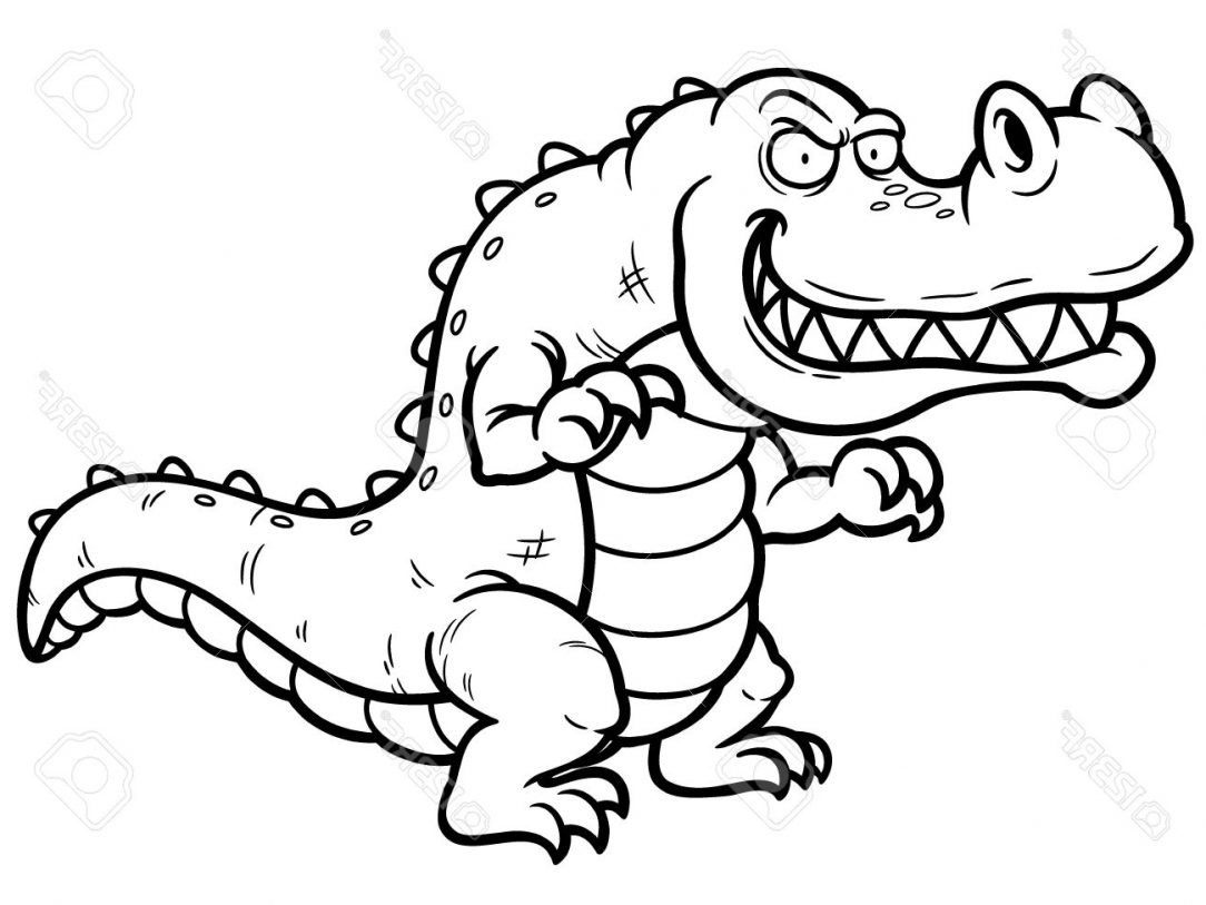 1084x813 Alligator Drawing Black And White Head Baby Step Easy Body