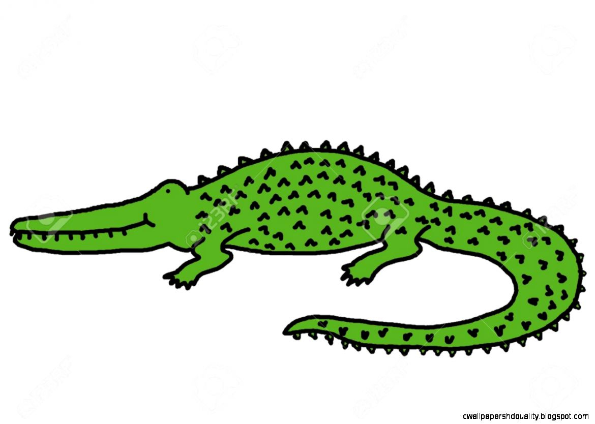 1170x834 Fancy Crocodile Drawing For Kids Collection