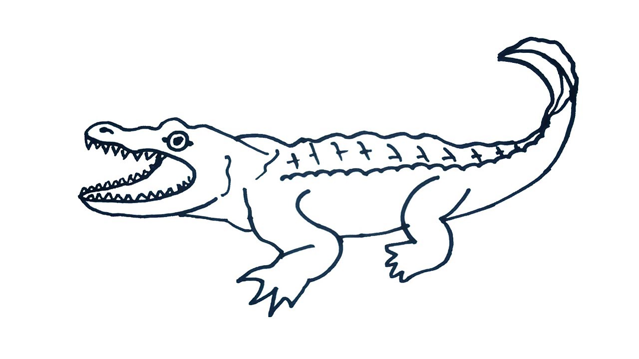 1280x720 Crocodile Drawing How To Draw Crocodile Easy Step