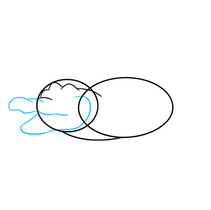 680x678 How To Draw An Alligator