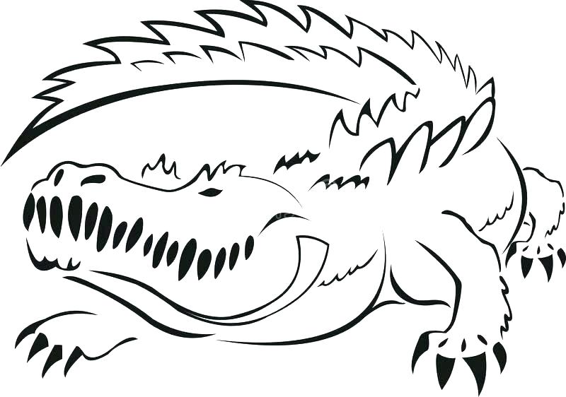 800x562 Alligator Drawing Outline