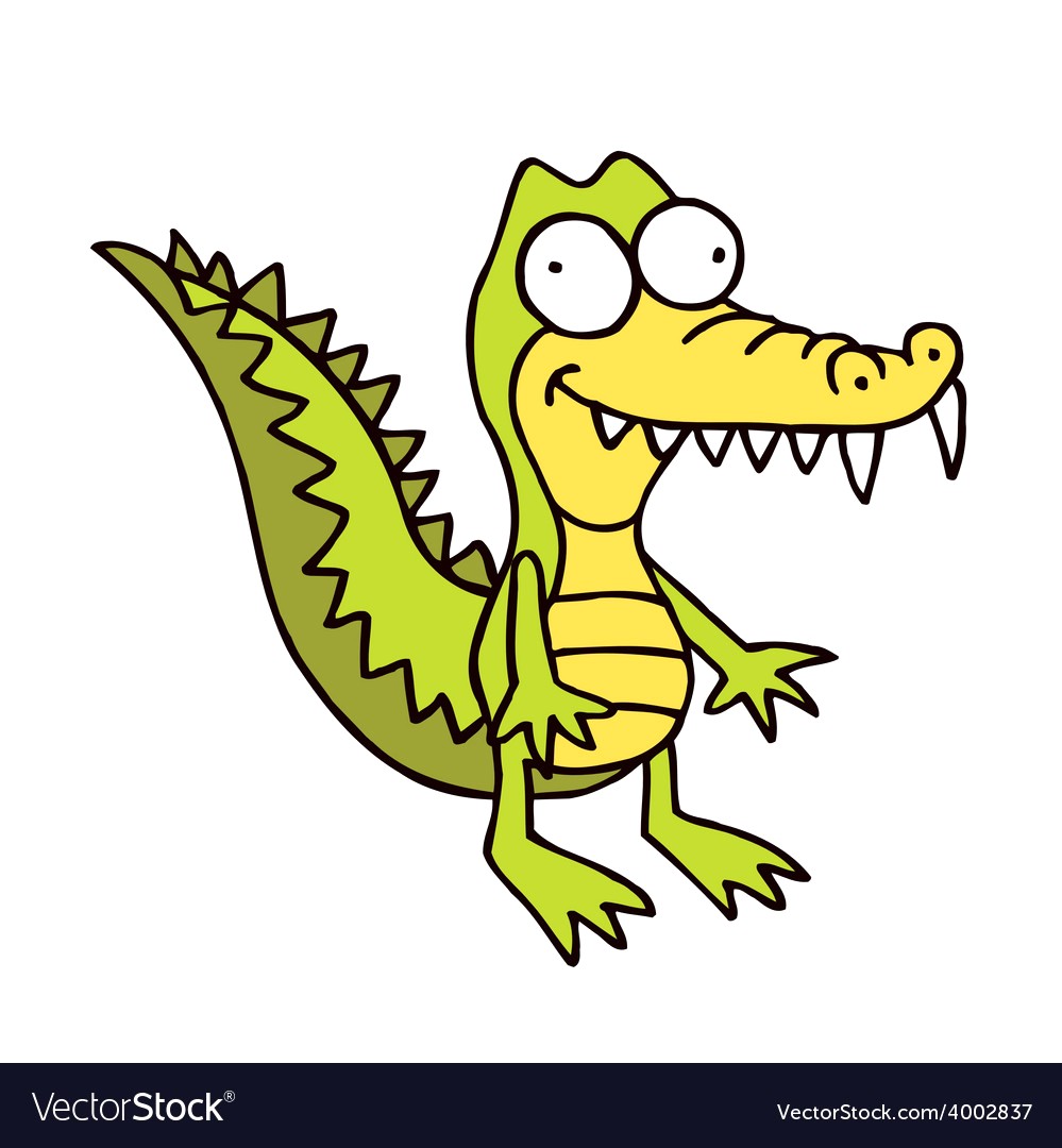 999x1080 Alligator Cartoon Drawing Pictures