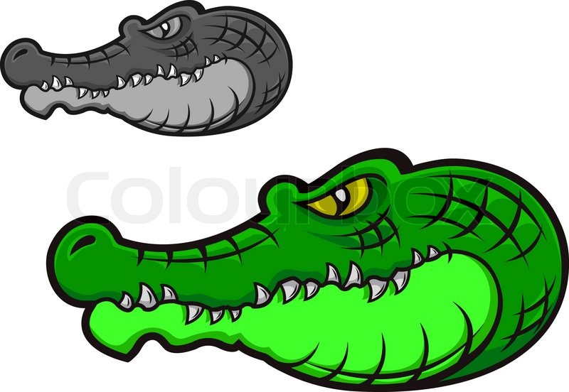 800x552 Green Cartoon Crocodile Head For Stock Vector Colourbox