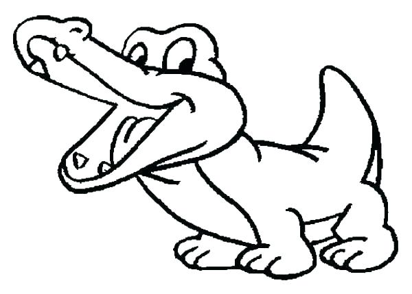 600x429 Alligator