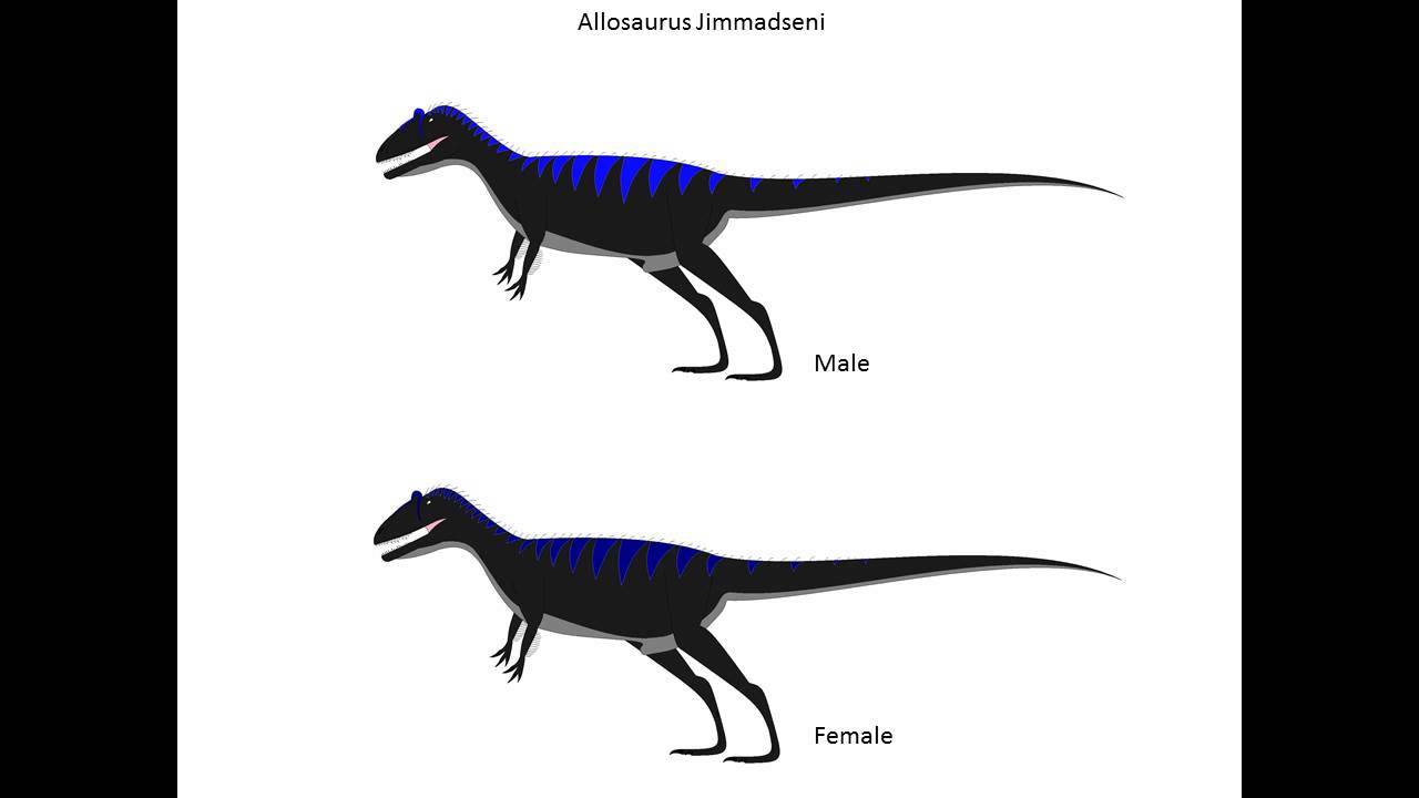 1280x720 allosaurus jimmadseni sound effects