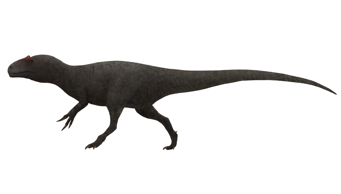 1184x675 allosaurus