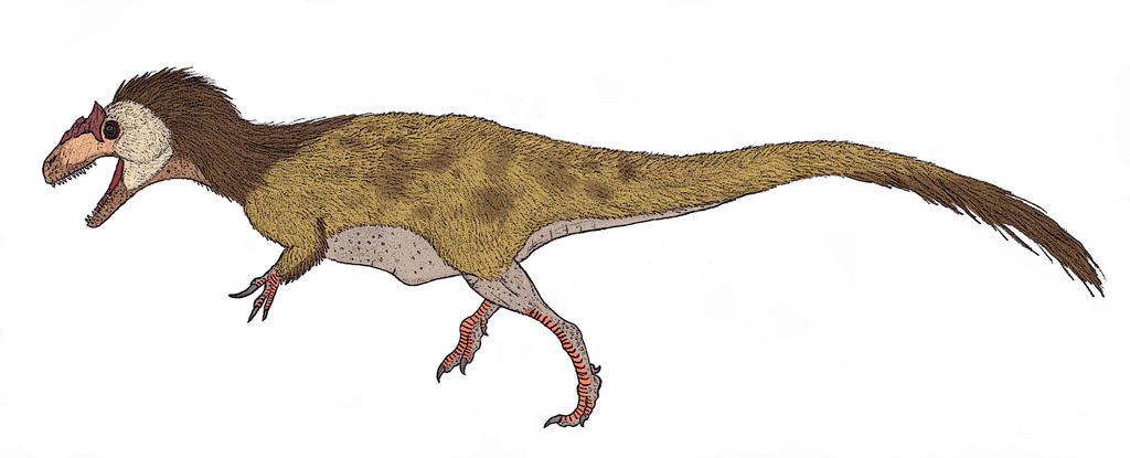 1024x415 allosaurus fragilis