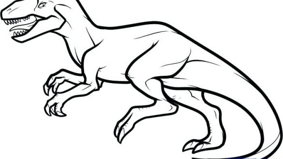 585x329 allosaurus lineart