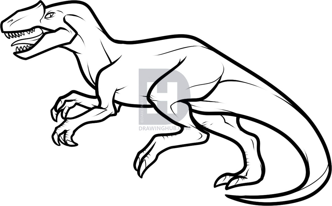 1080x672 how to draw an allosaurus, step