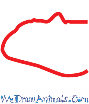 300x350 how to draw an allosaurus