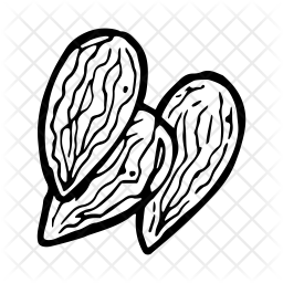 256x256 Almond Icons