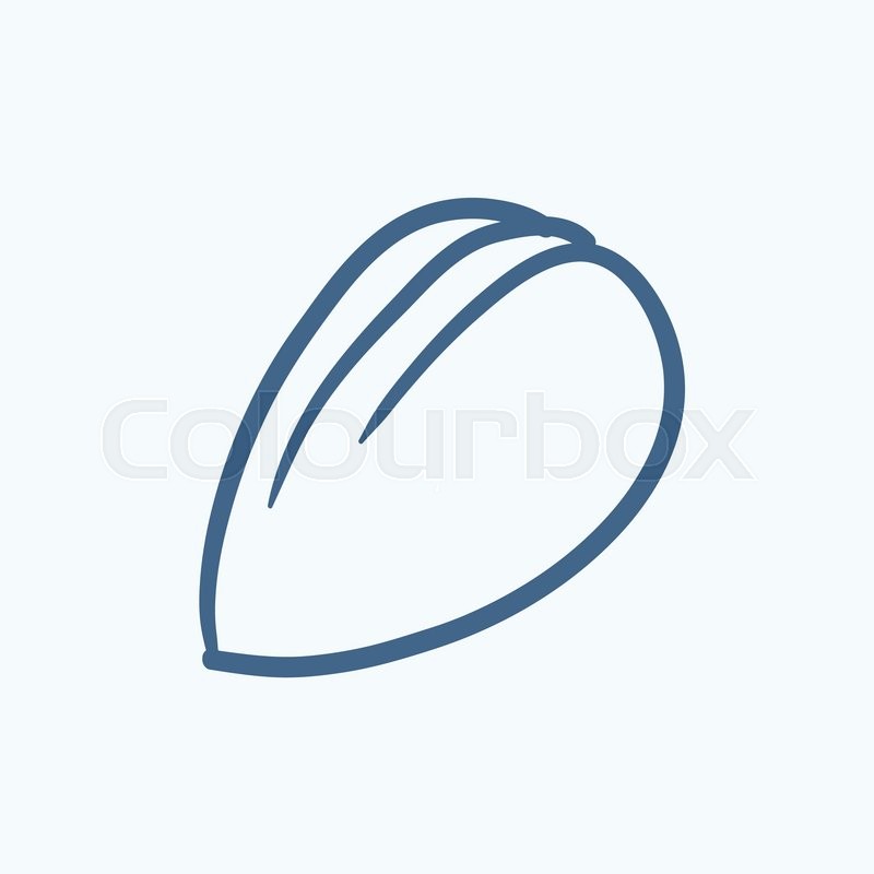 800x800 Almond Vector Sketch Icon Isolated On Stock Vector Colourbox