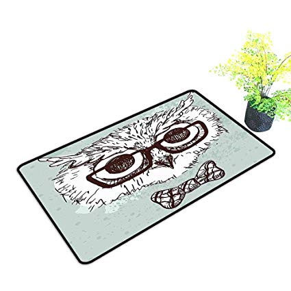 425x425 Gmnalahome Super Absorbs Mud Doormat Drawn Hipster