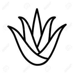 236x236 awesome aloe vera tattoo images botanical drawings, botanical