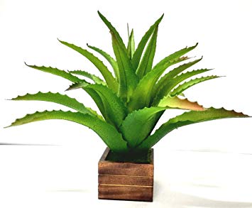 355x293 Buy Ethnic Karigari Indoor Natural Looking Artificial Bonsai