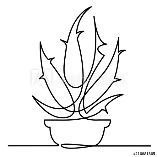 500x500 continuous line drawing of vector aloe vera logo icon for natural