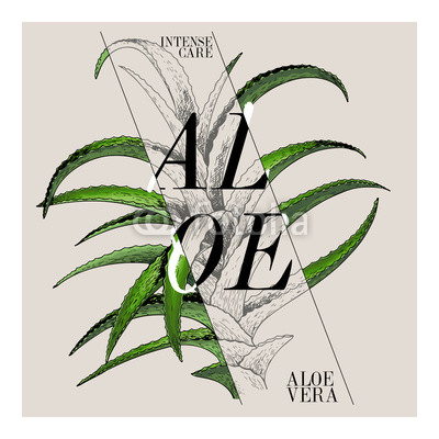 400x400 hand drawn set of beauty product label design vector aloe vera