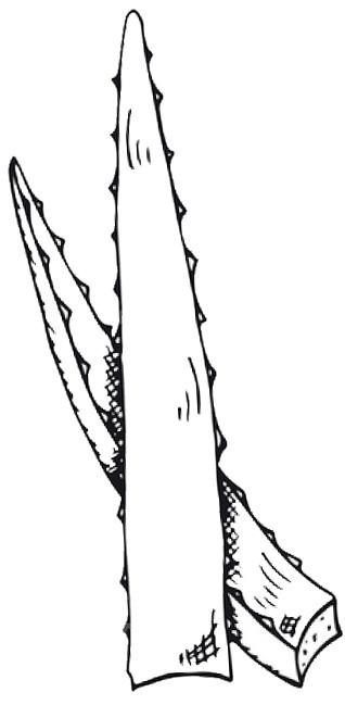 318x649 Natural Hair