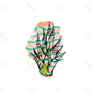 300x300 Stock Illustration Hand Sketch Aloe Vera Plant Soidergi