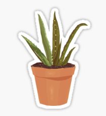 210x230 aloe drawing stickers redbubble
