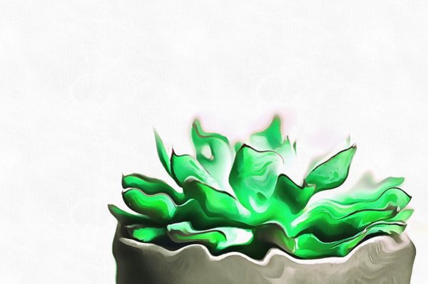 600x399 aloe drawings fine art america