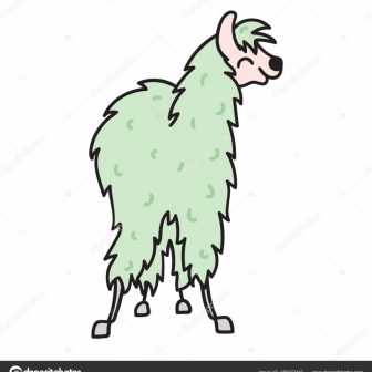 336x336 Alpaca Drawing Tutorial Simple Download Pages Kit Gif Cool