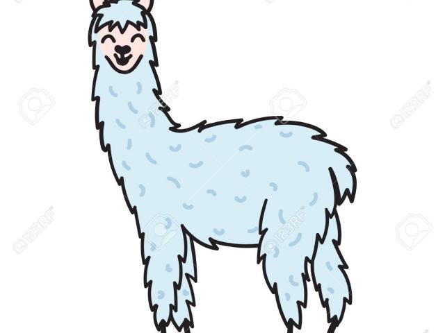 640x480 Drawn Alpaca Drawing