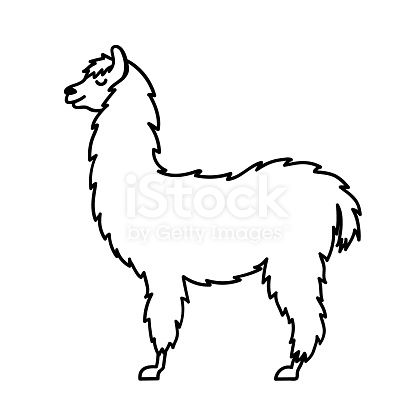 416x416 Hand Drawn Peru Animal Guanaco, Alpaca, Vicuna Drawing For Print