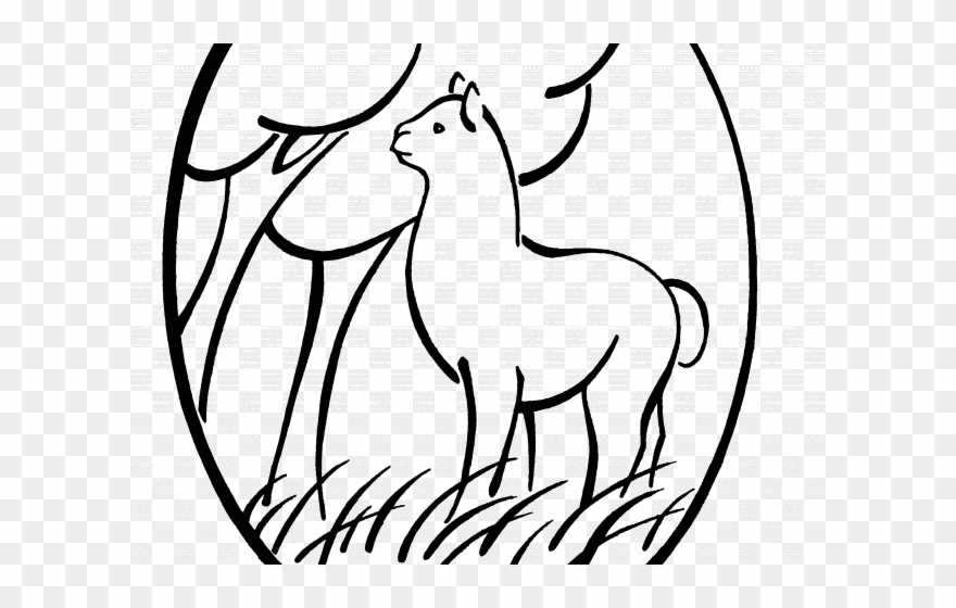 880x560 Head Clipart Alpaca