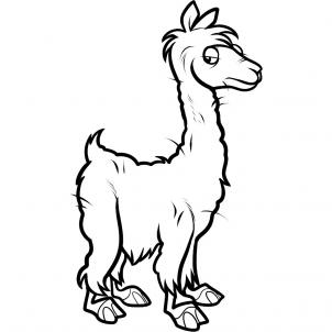 302x302 how to draw an alpaca, alpaca, step