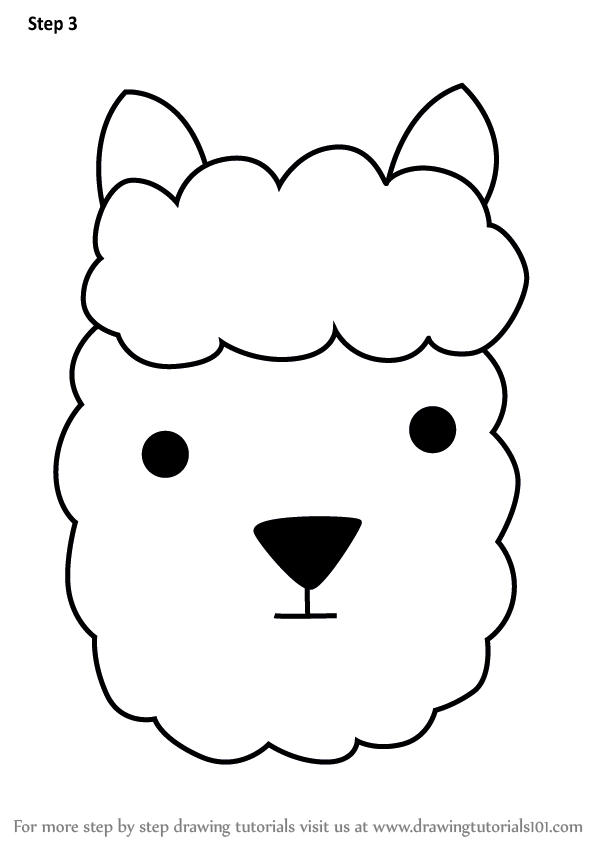 602x848 Learn How To Draw An Alpaca Face For Kids