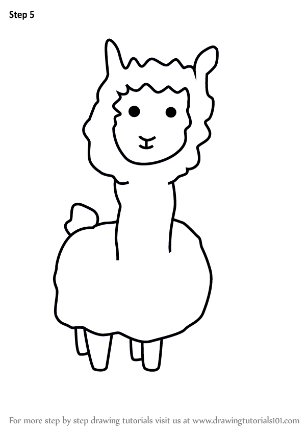 602x848 Learn How To Draw An Alpaca For Kids