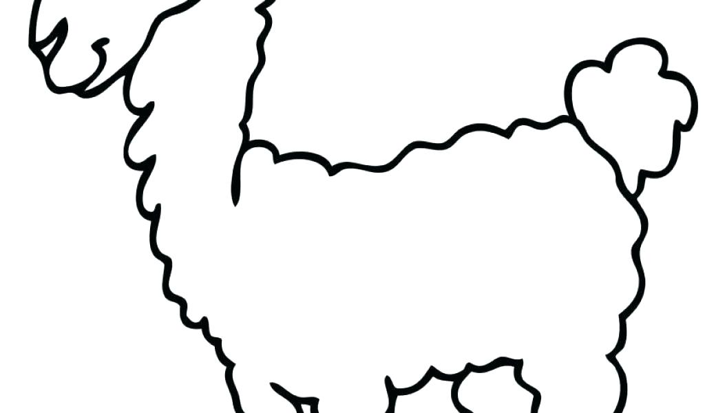 1024x600 alpaca coloring pages alpaca drawing coloring